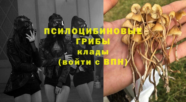 гидра Алексин
