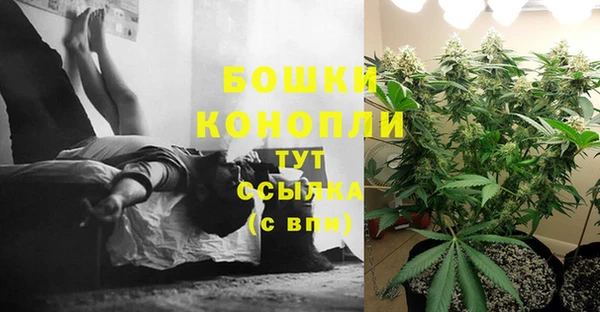 гидропоника Алексеевка