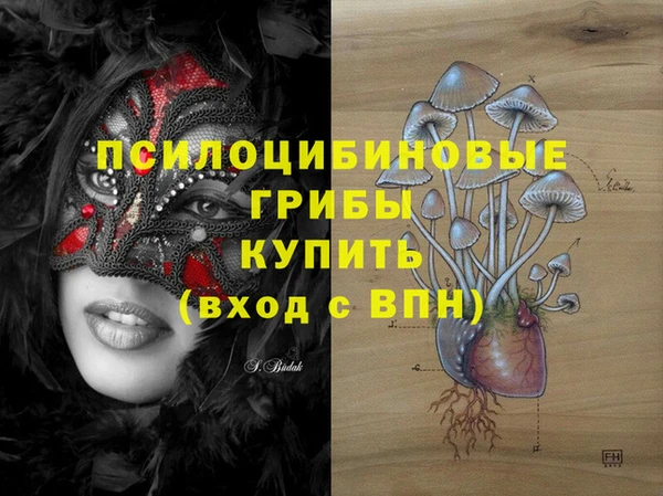 мдпв Алзамай