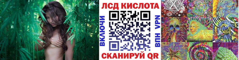 Наркотические марки 1500мкг  blacksprut как зайти  Правдинск 