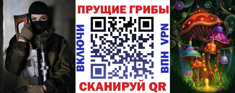 где можно купить   Правдинск  Галлюциногенные грибы прущие грибы 